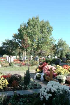 friedhof.jpg